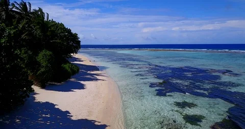 Large pattern of black algae widespread on seabed of calm lagoon with warm Stock Footage 119897534