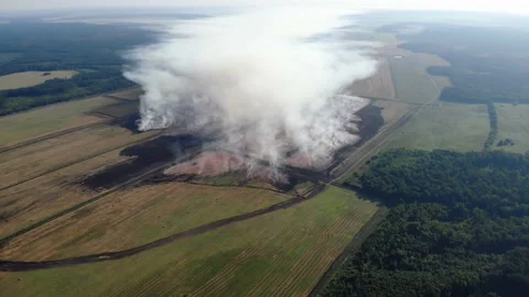 A large peat fire Stock Footage 196911103