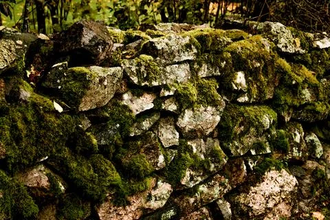 Large pebbles boulder bowlder covered with green moss, stone texture backgrou Stock Photos