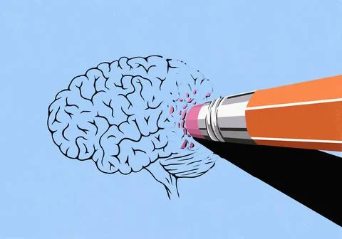 Large pencil eraser erasing brain sketch on blue background - memory concept Stock Illustration