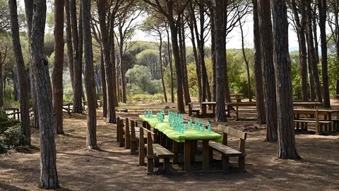 Large picnic table with bottles of water in a pine forest by the sea Stock Footage 109421535