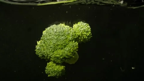 A large piece of broccoli dances quietly in the water, making waves. Stock Footage 265253356