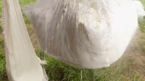 Large piece of cheese hanging in cheesecloth for dehydration, wooden fence Stock Footage 43843092