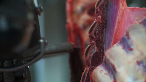 Large piece of meat is cut with a circular saw Video stock 93265582