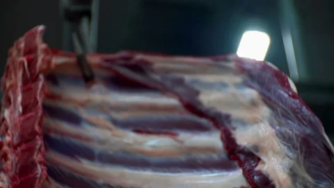 Large piece of meat hangs on the hook Video stock 93265358