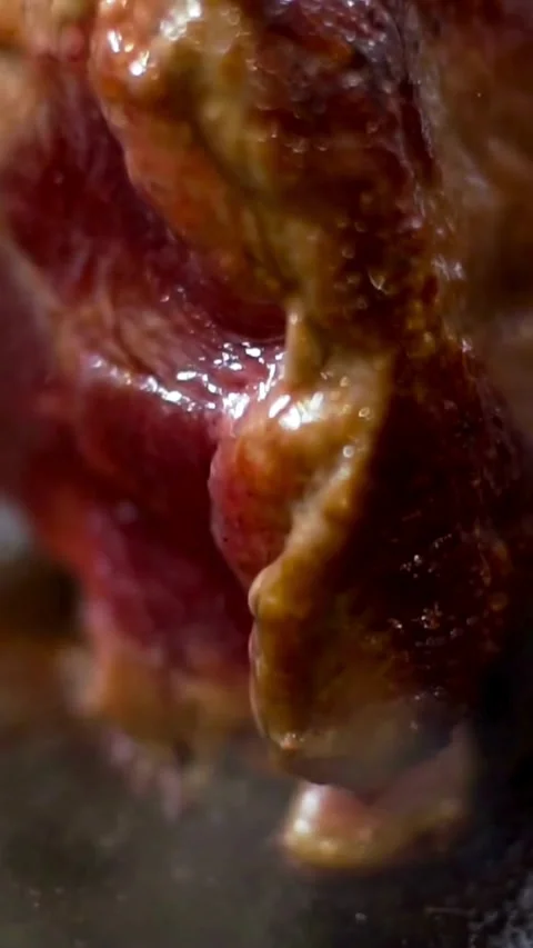 Large piece of meat sears on hot top grill Video stock 334169754