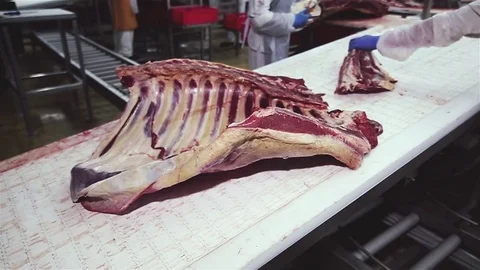 A large piece of rib meat of the cow moves along the conveyor. Stock Footage 76373726