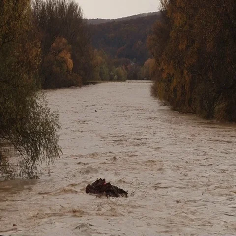 A large piece of wood floating on the river Stock Footage 69291308