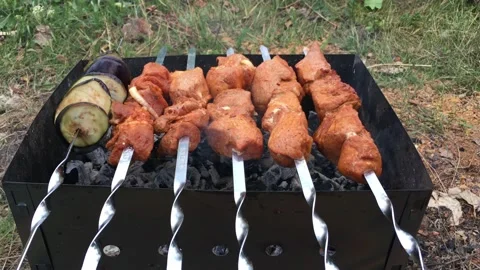 Large pieces of barbecue on the grill close-up. Family picnic Stock Footage 135626836