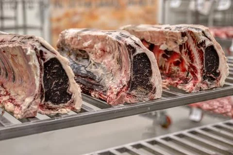 Large pieces of beef ribs. The process of fermentation of meat in the factory Stock Photos