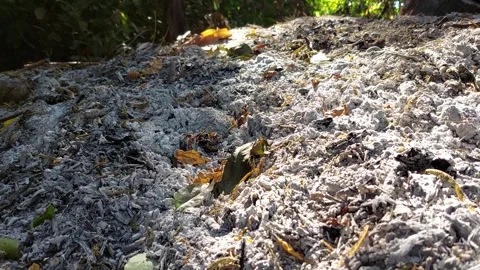 A large pile of ashes, a fine gray color Stock Footage 260893880