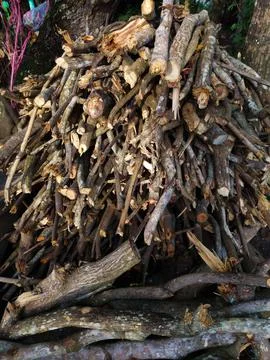 Large pile of chopped tree branches and broken logs Stock Photos