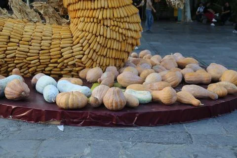 A large pile of corn cobs and pumpkins on the street, surrounded by many sm.. Stock Photos