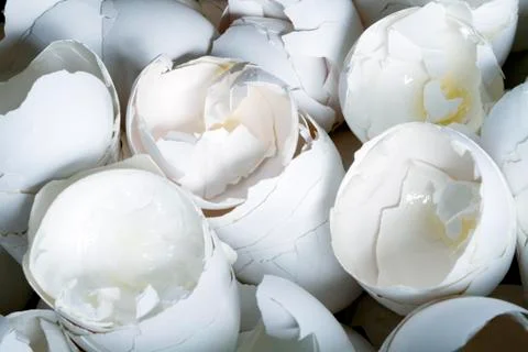 Large Pile Of Cracked Egg Shells Close Up Stock Photos