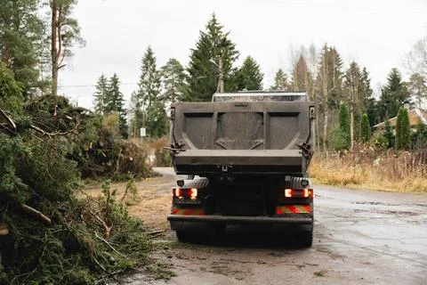 Large pile of cut trees and branches after storm cleanup in rural area. Stock Photos