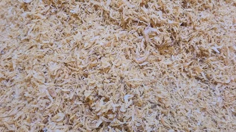 A large pile of dried shrimp Video stock 316359555