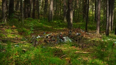 A large pile of empty alcohol bottles, thrown by people into nature. Stock Footage 345654492