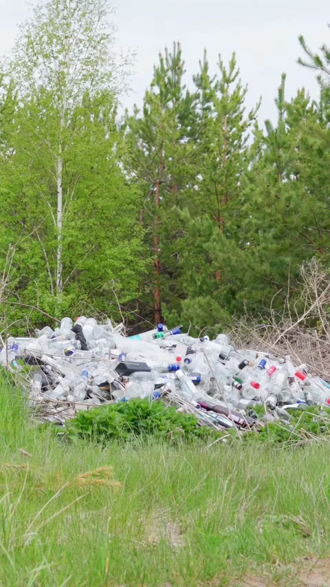 A large pile of empty vodka bottles thrown by people into nature. Vídeo Stock 276876904