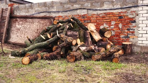 A large pile of firewood in the corner. Stock Footage 159751922