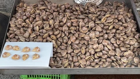 Large Pile of Fresh Clams Displayed at Dandong Seafood Market Stock Footage 340176004