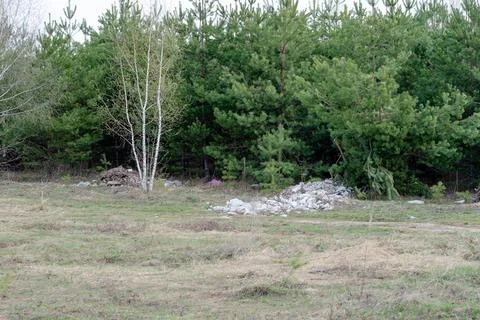 A large pile of garbage on the background of the forest. Environmental proble Stock Photos