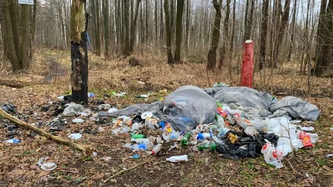 A large pile of garbage in the forest. Ecological problem Stock-Footage 122910987