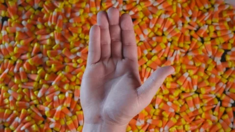 A large pile of Halloween candy corn is seen with a hand in view. Candy Stock Footage 116573180