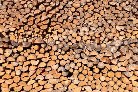 Large pile of logs Stock Photos