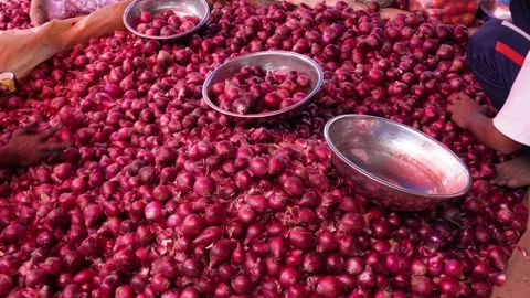A large pile of onions are displayed for sale in a market Stock Footage 304066254