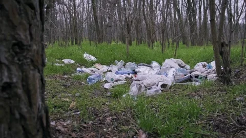 Large Pile of Plastic Trash and Bottles in Green Forest Clearing Stock Footage 322108655