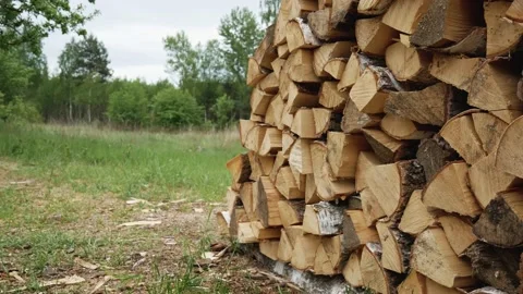 Large Pile Of Stacked Chopped Wood Pieces Piled Neatly in the forest Stock Footage