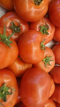 Large pile of tomatoes Stock-Fotos