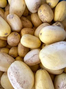 Large piles scattering of small pumpkins and gourds Stock Photos