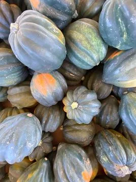 Large piles scattering of small pumpkins and gourds Stock Photos