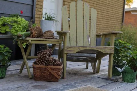 Large pine cones in a basket, on a backyard autumn still life Stock Photos