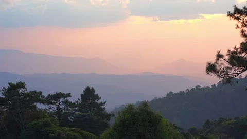 Large pine with layer of mountain and cloudy sky with sunset background Stock Footage 277093191