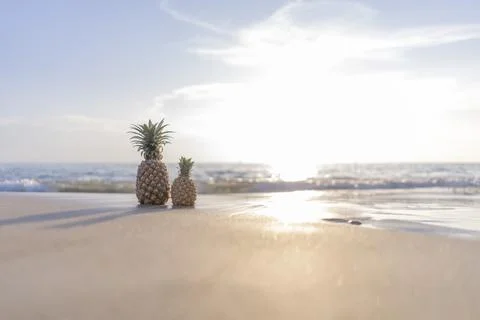 Large pineapple and a small pineapple stand on the sand against the backgroun Stock Photos