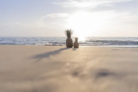 Large pineapple and a small pineapple stand on the sand against the backgroun Stock Photos
