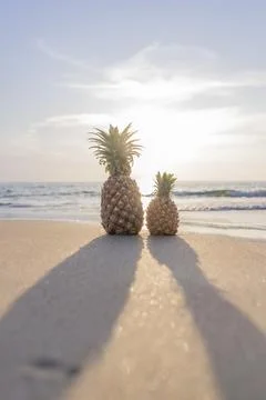 Large pineapple and small pineapple stand on the sand against the background  Stock Photos