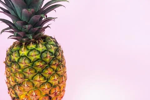 A large pineapple on a pink isolated background. Minimal style Stock Photos