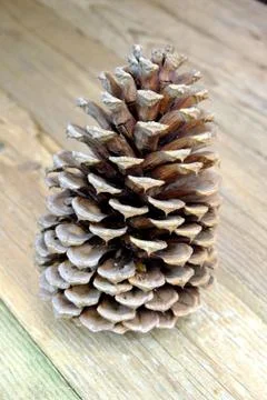 Large pinecone on an old wooden table, forest, nature Stock Photos