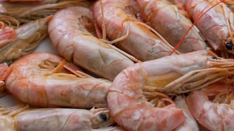 Large Pink Boiled Prawns on a Rotating Platter, Close-up. The Concept of Healthy Stock Footage 148526081