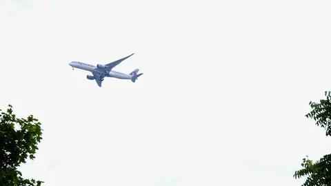 Large plane flies overhead on cloudy day between two trees Stock Footage 106772080