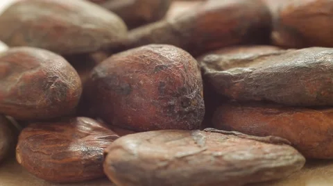Large plans of raw cacao beans. Healthy eating lifestyle. Macro shot. Stock Footage 50307378