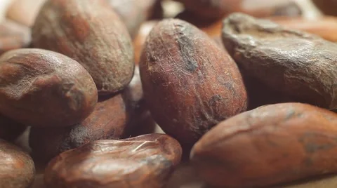 Large plans of raw cacao beans. Healthy eating lifestyle. Macro shot. Stock Footage 50307379