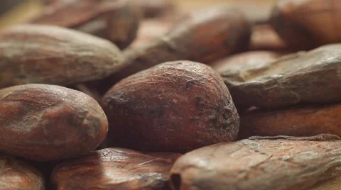 Large plans of raw cacao beans. Healthy eating lifestyle. Macro shot. Stock Footage 50307381