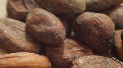 Large plans of raw cacao beans. Close up slow panorama. Stock Footage 50307404