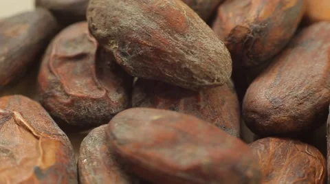 Large plans of raw cacao beans. Close up slow panorama. Stock Footage 50307409