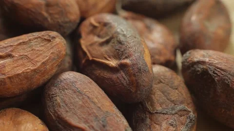 Large plans of raw cacao beans. Close up slow panorama. Stock Footage 50307438