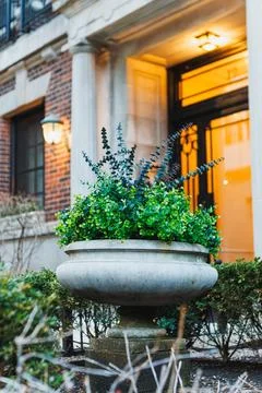 A large planter sits filled with various green plants at the entrance of a bu Stockfoto's